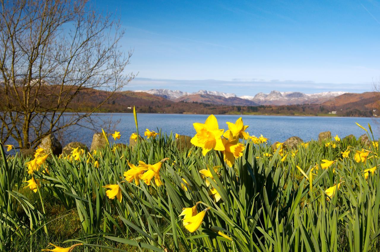 Ivythwaite Lodge Guest House Windermere Extérieur photo