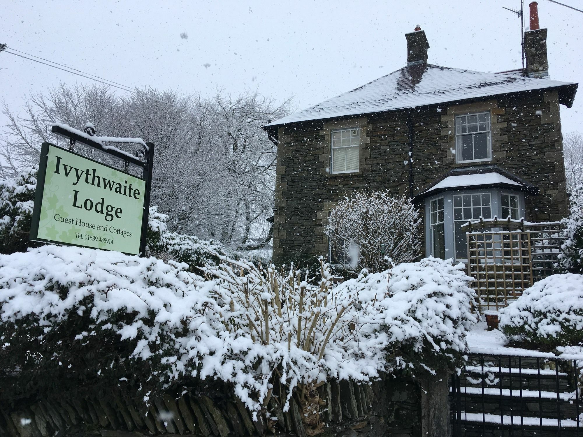 Ivythwaite Lodge Guest House Windermere Extérieur photo
