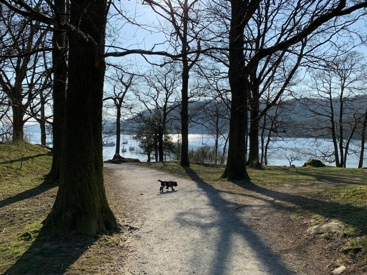 Ivythwaite Lodge Guest House Windermere Extérieur photo
